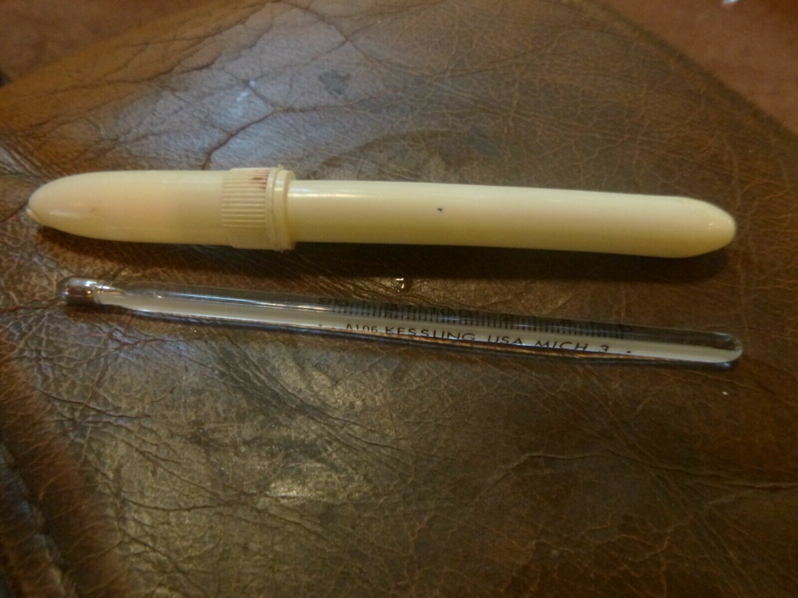 Vintage Glass Oral Thermometer A106 USA Mich 3 w/ Plastic Case